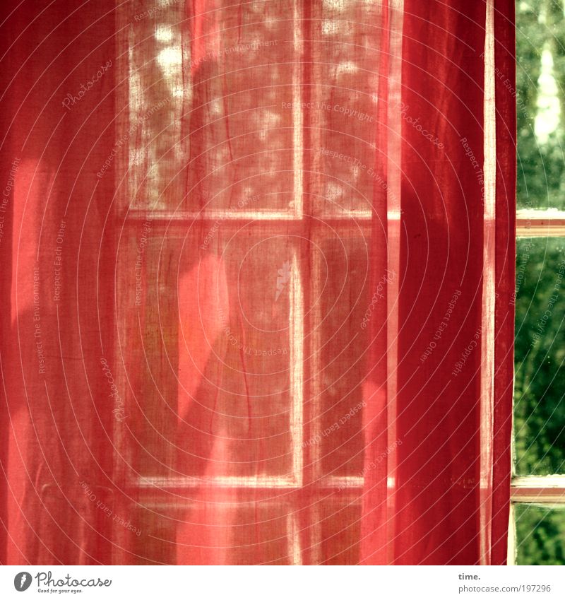 Wintergarten im Frühling Sonne Wärme Baum Fenster Kreuz grün rot Verliebtheit geheimnisvoll Gardine Vorhang Textilien luftig Fenstersprosse Einfallswinkel zart
