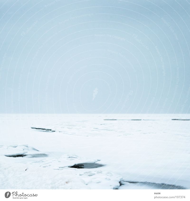 Eisdecke Umwelt Natur Landschaft Himmel Wolkenloser Himmel Horizont Winter Klima Frost Schnee Küste Ostsee außergewöhnlich eckig einfach fantastisch kalt blau