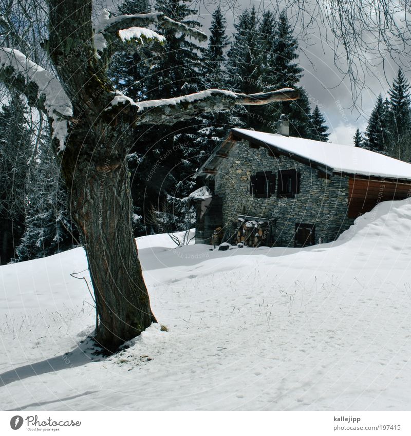 postkarte Lifestyle Stil harmonisch ruhig Winter Schnee Winterurlaub Berge u. Gebirge Häusliches Leben Wohnung Haus Traumhaus Umwelt Natur Baum Alpen Dorf