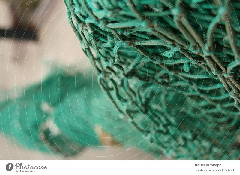 netz.Werk Meer Feierabend Knoten Netz Netzwerk grün Farbfoto Außenaufnahme Menschenleer Tag