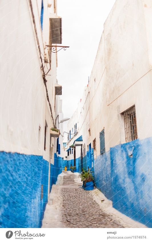 Rabat Dorf Stadt Altstadt Menschenleer Mauer Wand Fassade blau weiß Marokko Gasse mediterran Farbe Farbfoto Außenaufnahme Tag Weitwinkel
