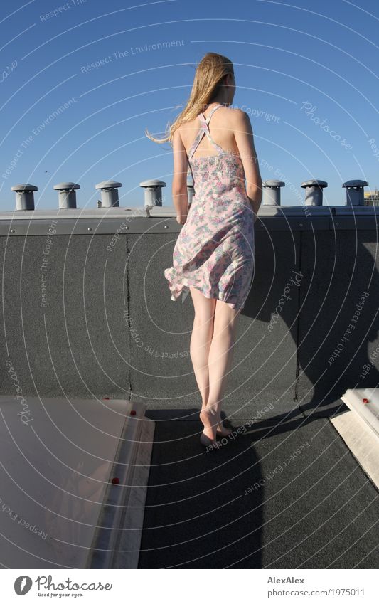 Aussicht Lifestyle Freude schön Ferne Dach Schornstein Junge Frau Jugendliche Beine 18-30 Jahre Erwachsene Landschaft Wolkenloser Himmel Schönes Wetter Wind