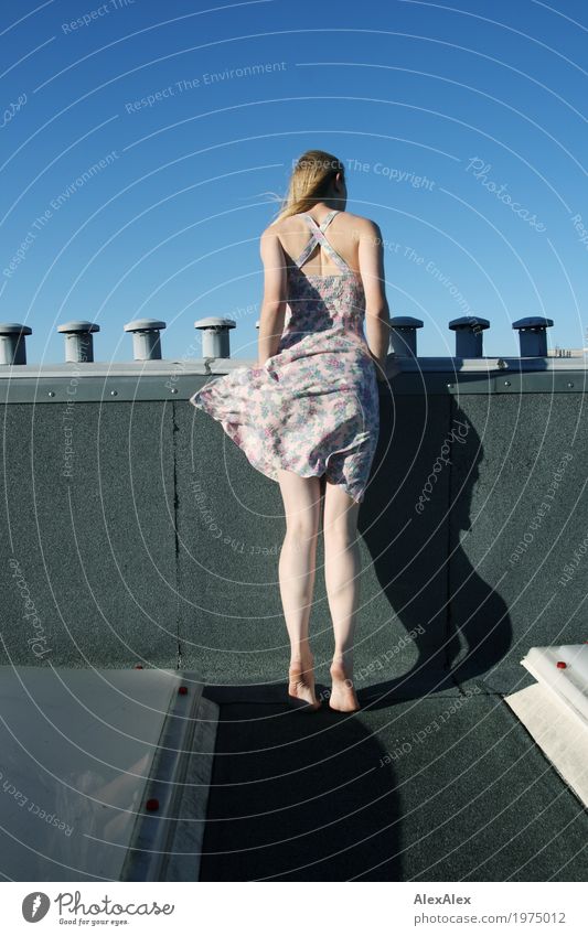Neugier Freude schön Dach Schornstein Junge Frau Jugendliche Beine 18-30 Jahre Erwachsene Landschaft Wolkenloser Himmel Schönes Wetter Oberlicht Kleid Barfuß