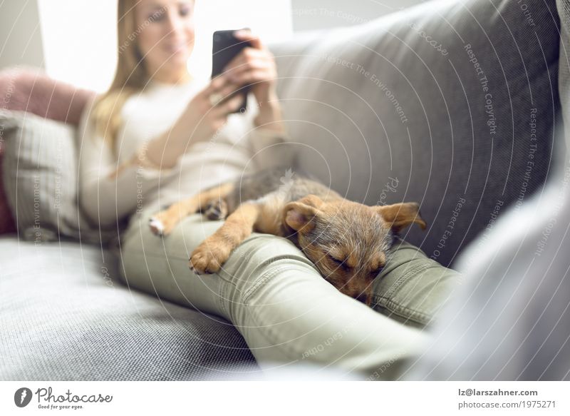 Welpe, der auf Eigentümerschößen schläft Erholung ruhig lesen Sofa Wohnzimmer PDA Frau Erwachsene Tier Haustier Hund Lächeln schlafen Geborgenheit Nähe