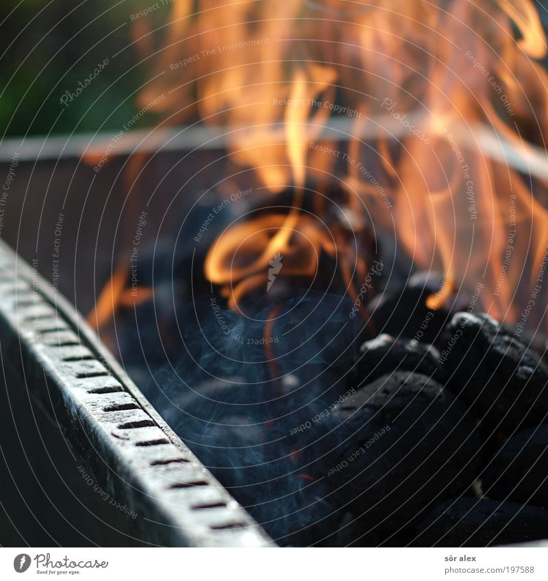 no SMOKE without a fire Grill Kohle Grillkohle Feuer Rauch heiß Wärme schwarz Grillen Grillsaison Flamme Brandgefahr orange Farbfoto Außenaufnahme Menschenleer