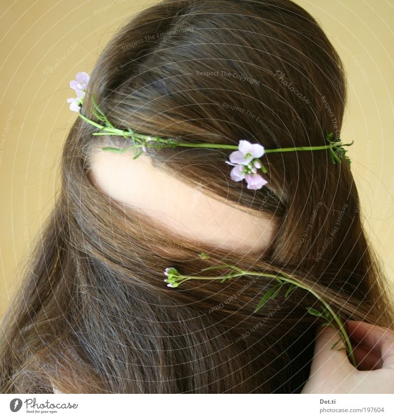 Mädchen mit langen Haaren und Blumenkranz Haare & Frisuren Mensch feminin Junge Frau Jugendliche Kopf Hand 1 18-30 Jahre Erwachsene brünett langhaarig Scheitel