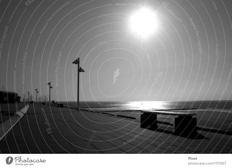 gestrandetes Licht Wasser Wolkenloser Himmel Horizont Schönes Wetter Strand Nordsee ruhig Einsamkeit Ferne Menschenleer Schwarzweißfoto Außenaufnahme