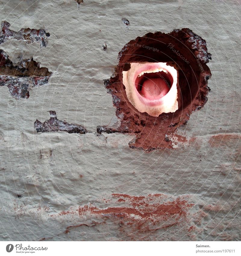 Die Wand (g)ruft Mensch Mann Erwachsene Mund Mauer Fassade sprechen alt außergewöhnlich Freude Aggression skurril schreien Kommunizieren Putz Putzfassade Zunge
