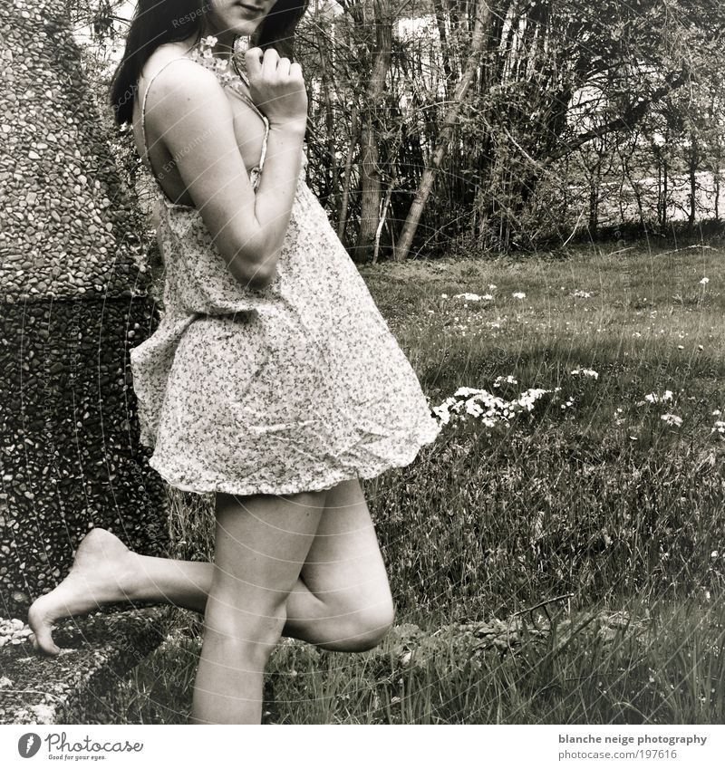 strawberry swing elegant Stil harmonisch Zufriedenheit feminin Junge Frau Jugendliche Erwachsene Arme Beine 1 Mensch 18-30 Jahre Blume Garten Wiese Kleid