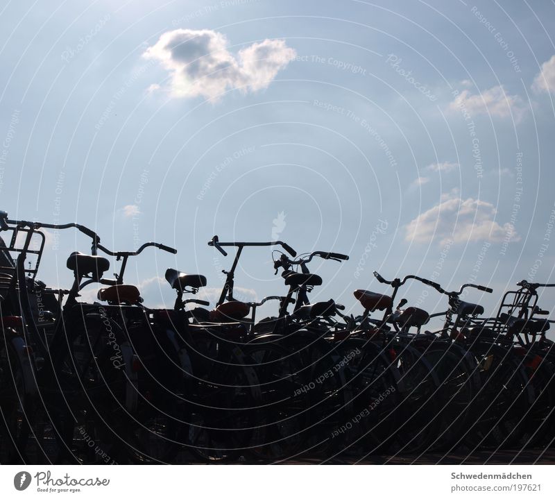 Fahrräder in Amsterdam Ferien & Urlaub & Reisen Sightseeing Fahrrad Niederlande ästhetisch einfach Stadt Farbfoto Außenaufnahme Detailaufnahme Menschenleer Tag
