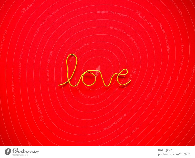 Nur ein Wort Schriftzeichen gelb grün rot Gefühle Liebe Partnerschaft Draht feuerrot Farbfoto mehrfarbig Studioaufnahme Nahaufnahme Menschenleer