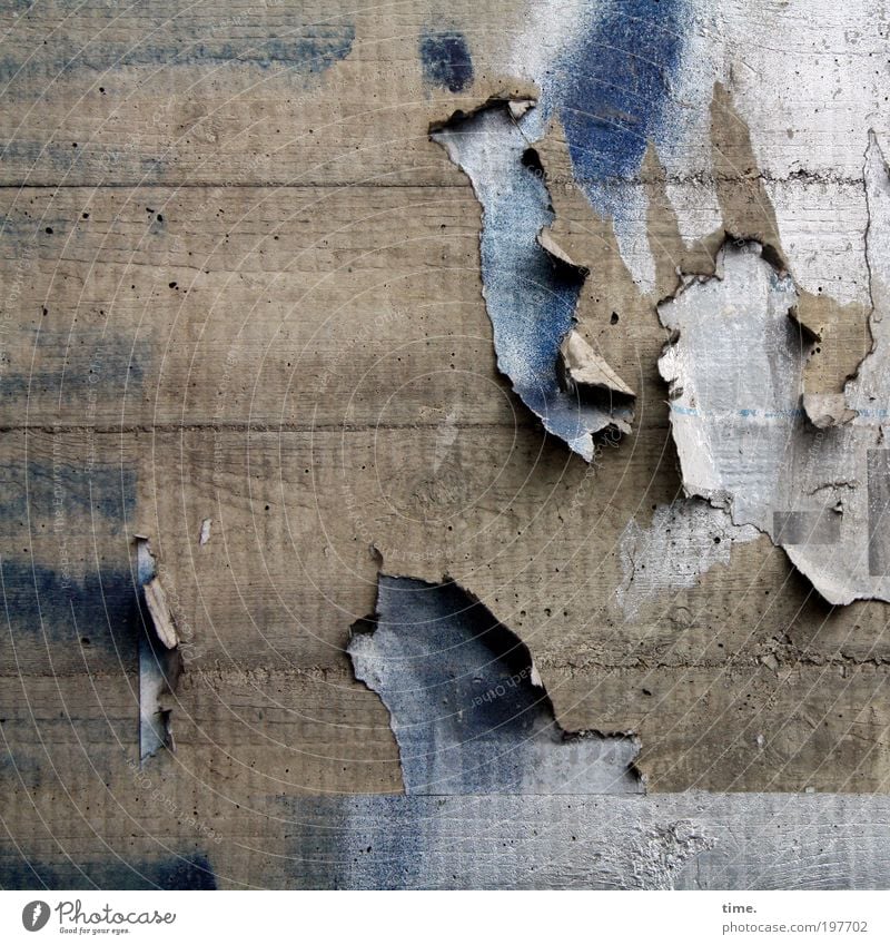 Lebenslinien #12 Papier Beton alt hängen dreckig kaputt grau Wand Fetzen Riss Leim Klebstoff Plakat schäbig Vandalismus abblättern Menschenleer verwittert