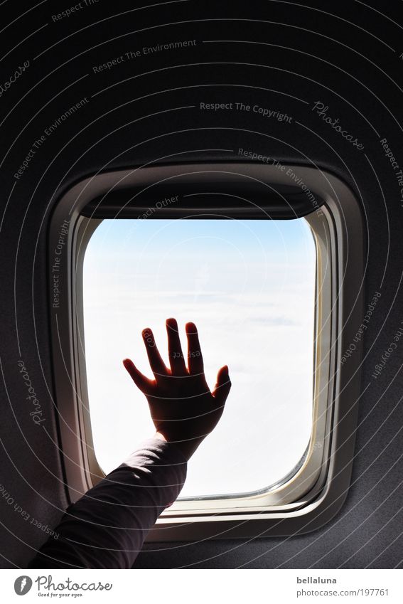 Adiòs Mensch Kindheit Leben Arme Hand Finger festhalten fliegen Ferien & Urlaub & Reisen Flugzeug Fenster Flugzeugfenster Wolken Wolkenhimmel Wolkendecke Himmel