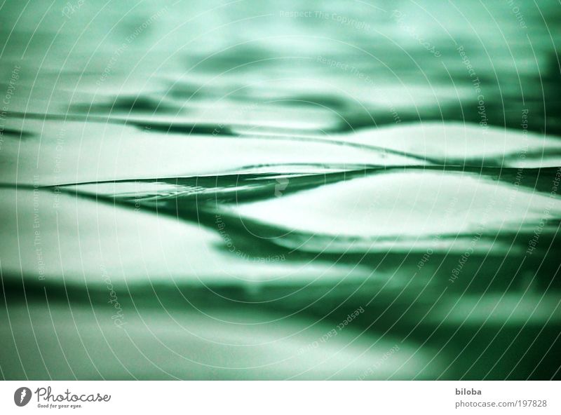Wellen Umwelt Natur Urelemente Wasser Sommer grün weiß Strukturen & Formen Hintergrundbild Erholung ruhig beruhigend sanft See biloba Farbfoto Außenaufnahme