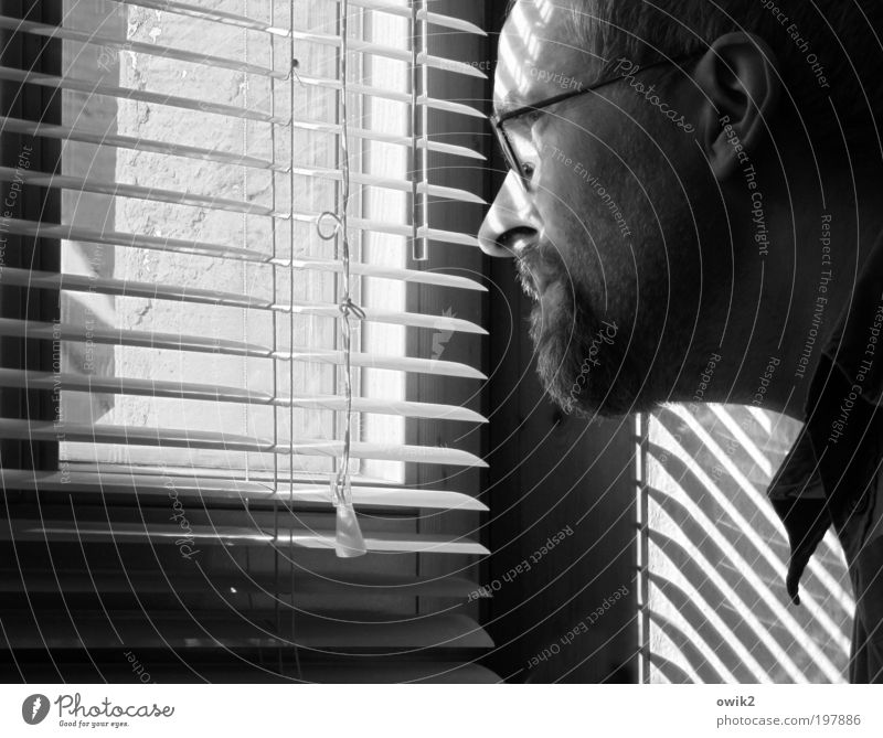 Einschaltquote Mensch maskulin Mann Erwachsene Kopf Kragen 1 45-60 Jahre Mauer Wand Fenster Jalousie Rollo Lamellenjalousie Kunststoff beobachten Denken Blick