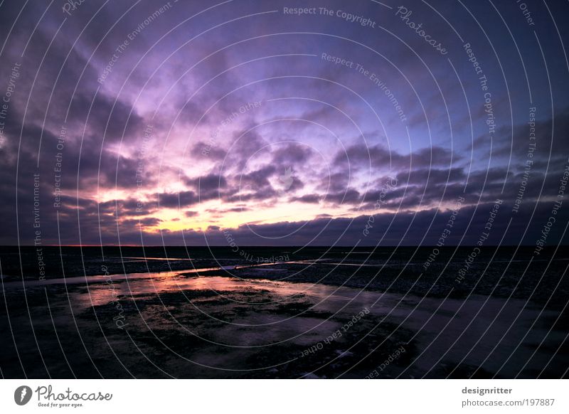 „Nähme ich Flügel der Morgenröte … Landschaft Wasser Himmel Wolken Winter Klima Klimawandel Wetter Wind Eis Frost Küste Nordsee Moor Sumpf Wattenmeer Salzwiese