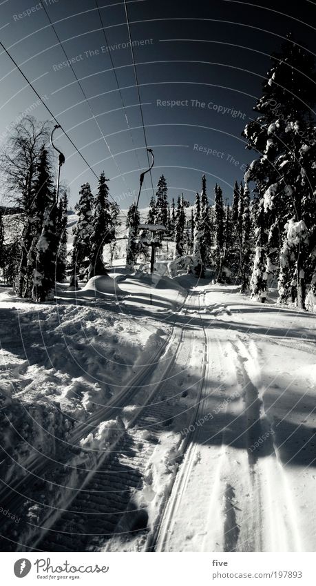 schlepplift V Ferien & Urlaub & Reisen Tourismus Ausflug Freiheit Winter Schnee Winterurlaub Wintersport Skifahren Umwelt Natur Himmel Wolkenloser Himmel