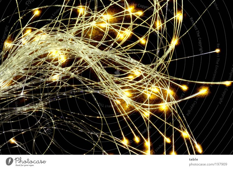 Tentakeln Kabel Energiewirtschaft Dekoration & Verzierung Kitsch Krimskrams Kunststoff Linie glänzend Kommunizieren leuchten ästhetisch dunkel dünn lang gelb