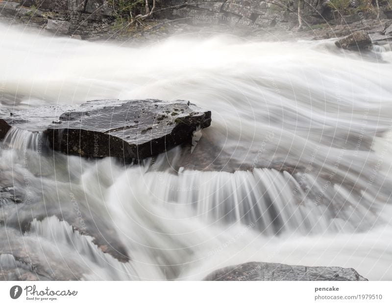 wasser | musik Natur Landschaft Urelemente Wasser Fluss Stein ästhetisch Erfolg frisch Gesundheit nass natürlich Wasserfall Norwegen Steinplatten