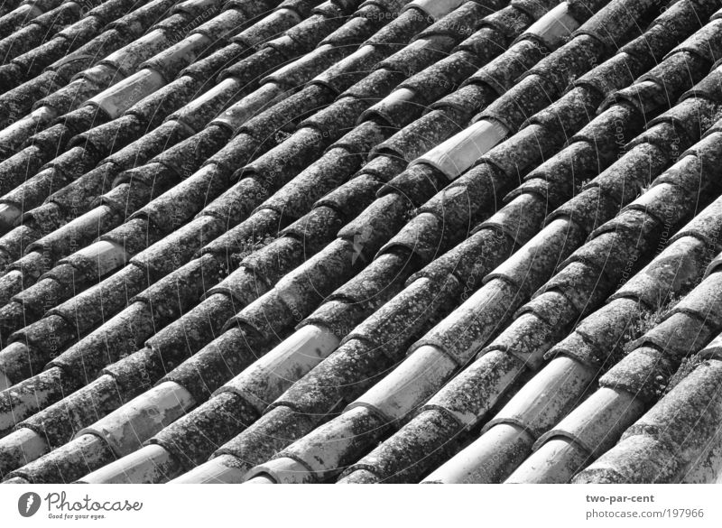 Dachziegel in Spanien Dorf Kleinstadt Altstadt Design Symmetrie Schwarzweißfoto Außenaufnahme Menschenleer Morgen Vogelperspektive Architektur Tag