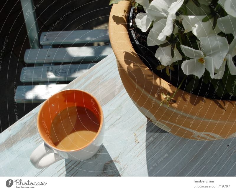 frühstück Terrasse Tisch Blume Frühling Sommer Alkohol Kaffee Stuhl Veilchengewächse