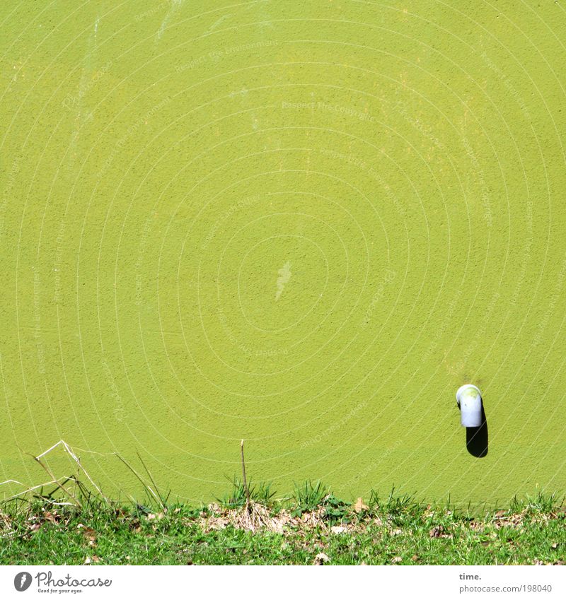 Auslaufmodell Sonne Haus Wasser Frühling Gras Wiese Beton Kunststoff Wachstum grün Farbe lindgrün Wand Abfluss Röhren Knick Wasserrohr Halm grell Ecke graphisch