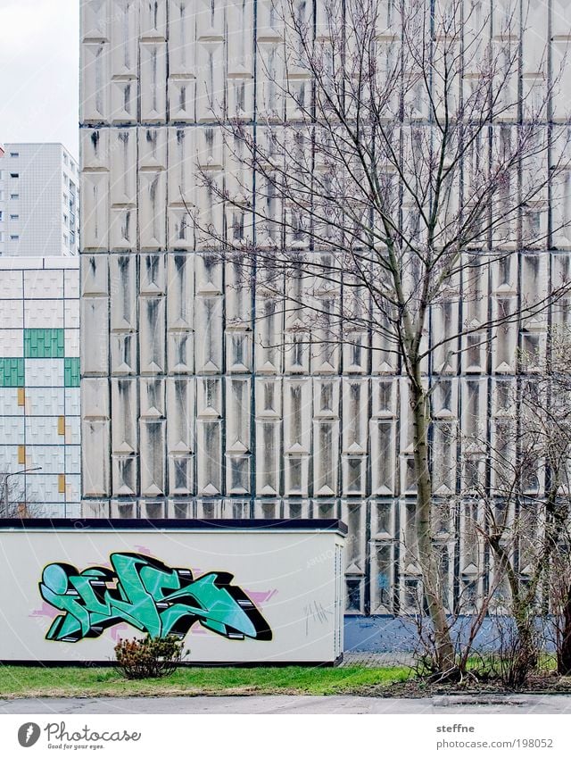 frühling in haneu Baum Stadt Stadtrand überbevölkert Haus Hochhaus Fassade trist Graffiti Frühling Ghetto Farbfoto Gedeckte Farben Außenaufnahme