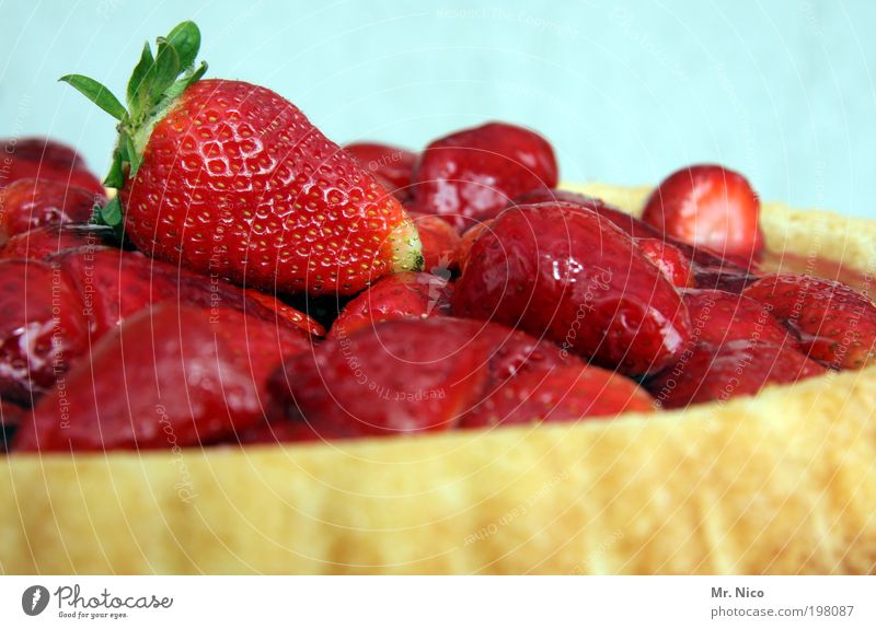 fast food Lebensmittel Frucht Kuchen Dessert rot Erdbeeren Erdbeertorte Erdbeerkuchen lecker red saftig Kalorie Jahreszeiten Obstkuchen Konditorei Ernährung