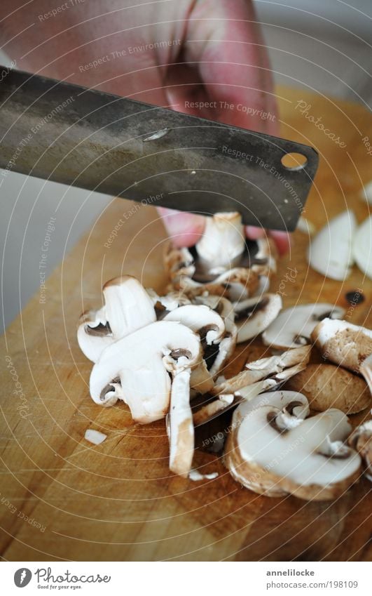 Wenn der Magen knurrt Lebensmittel Gemüse Pilz Champignons Ernährung Bioprodukte Vegetarische Ernährung Gesundheit Häusliches Leben Küche Restaurant Hand Finger