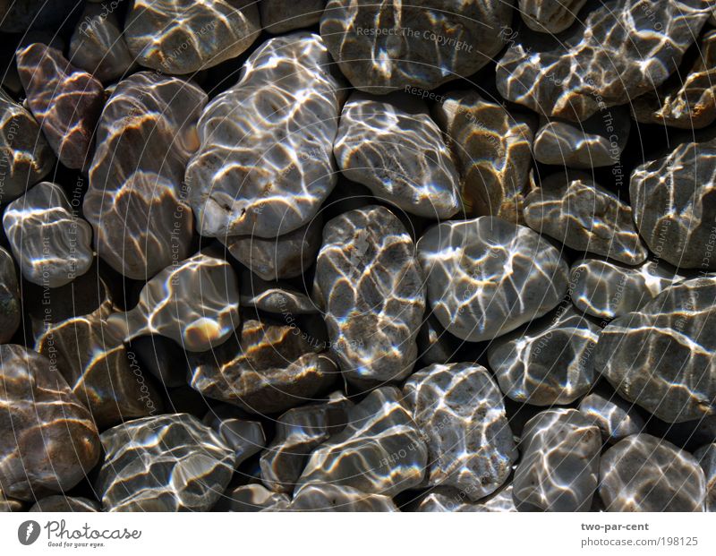 Kieselsteine und Wasser Natur Urelemente Fluss Stein nass Farbfoto Außenaufnahme Menschenleer Tag Lichterscheinung Sonnenlicht