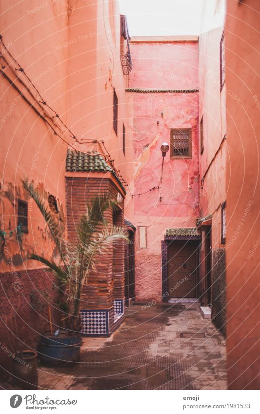 Marrakech I Stadt Haus Mauer Wand Fassade Gasse Hauseingang rot Farbe mediterran Marrakesch Farbfoto mehrfarbig Außenaufnahme Menschenleer Tag