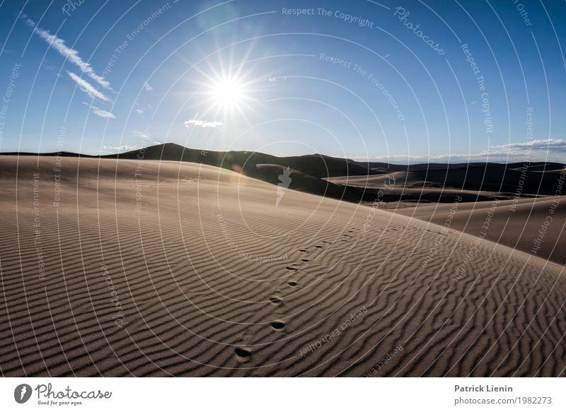 Great Sand Dunes National Park, Colorado, USA Zufriedenheit Sinnesorgane Erholung ruhig Meditation Ferien & Urlaub & Reisen Ausflug Abenteuer wandern Natur