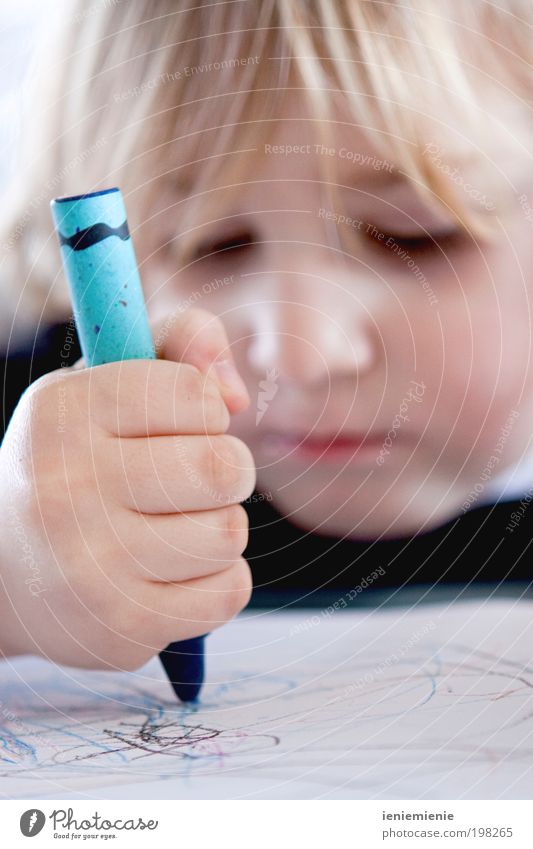 Den Himmel blau... Basteln Kindererziehung Junge Hand 1 Mensch 1-3 Jahre Kleinkind Schreibwaren Papier Zettel Schreibstift zeichnen frech Neugier niedlich