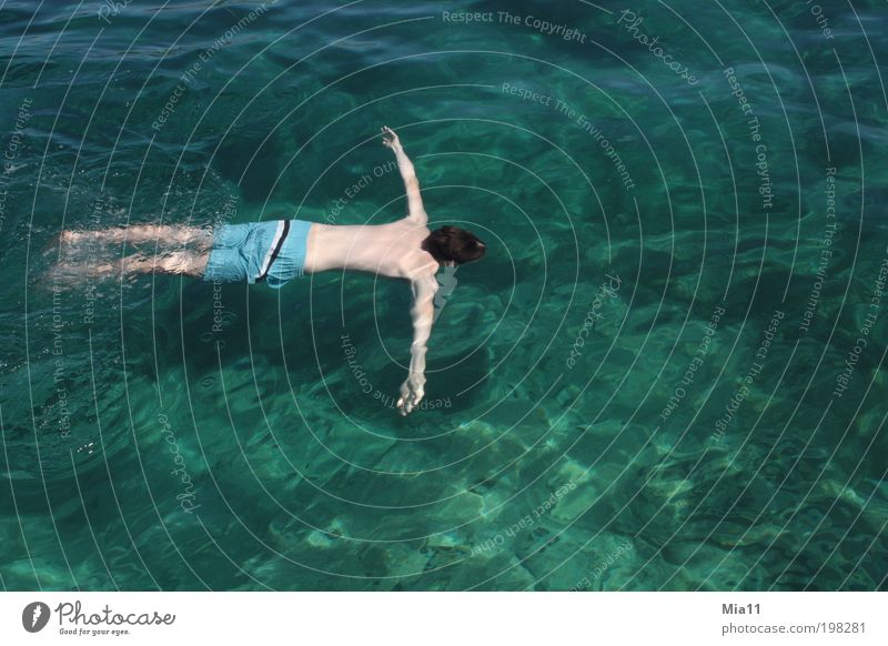 untertauchen Erholung Ferien & Urlaub & Reisen Sommer Sommerurlaub Meer Wellen Wassersport Mensch maskulin Junger Mann Jugendliche Erwachsene Körper 1 Badehose