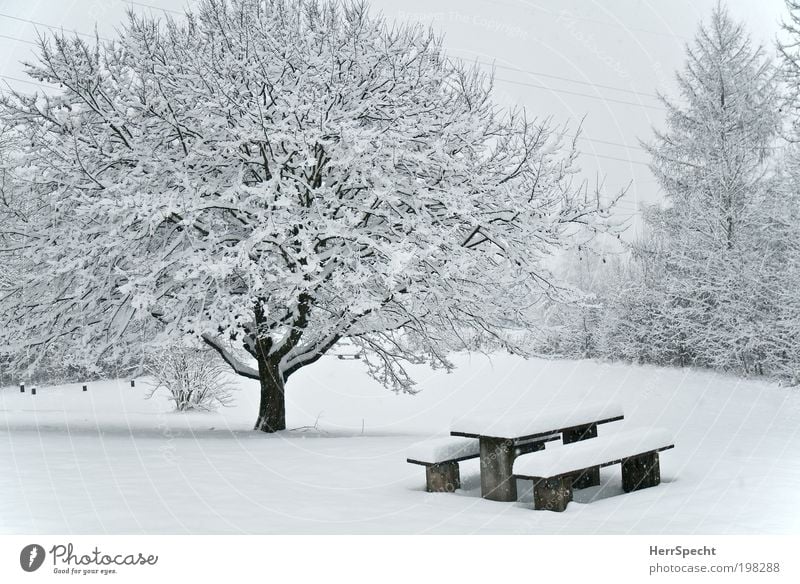 Picknik-Area Umwelt Natur Landschaft Winter Eis Frost Schnee Baum Sträucher Wiese Wald weiß Bank Tisch Schneedecke Farbfoto Gedeckte Farben Außenaufnahme
