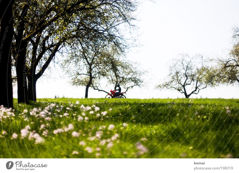 Sonntagsausfahrt Umwelt Natur Landschaft Pflanze Frühling Sommer Schönes Wetter Wärme Baum Blume Gras Blüte Grünpflanze Wiese Verkehr Verkehrsmittel