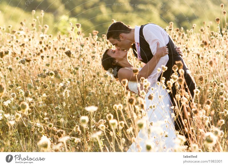 Küssende Paare Lifestyle Freude Hochzeit Mensch Junger Mann Jugendliche Frau Erwachsene 2 18-30 Jahre Natur Feld Feste & Feiern sportlich Fröhlichkeit