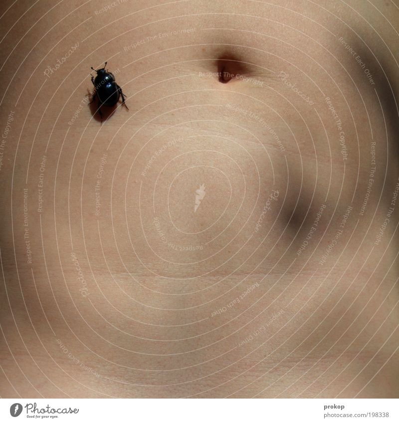 Unterwegs auf dem Bauch Mensch feminin Junge Frau Jugendliche Erwachsene Haut Tier Käfer Mistkäfer krabbeln liegen einfach natürlich dünn schön Geborgenheit