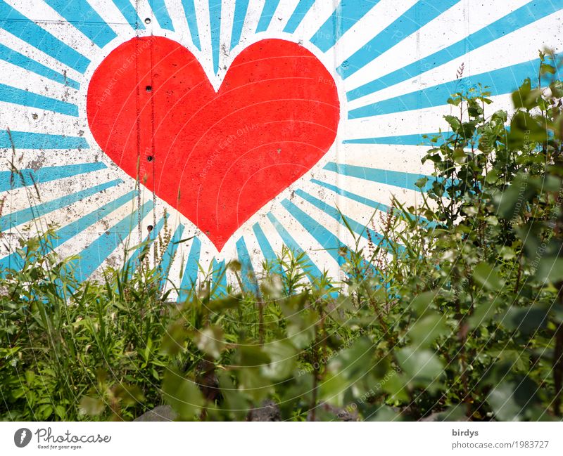 Herzliche Grüße Schönes Wetter Gras Sträucher Mauer Wand Zeichen Graffiti glänzend Liebe leuchten ästhetisch Fröhlichkeit gigantisch positiv schön blau grün rot