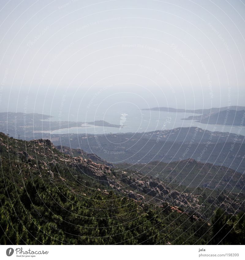 Corse Umwelt Natur Landschaft Himmel Pflanze Baum Wald Hügel Felsen Berge u. Gebirge Küste Meer Insel Korsika Frankreich Unendlichkeit Ferien & Urlaub & Reisen