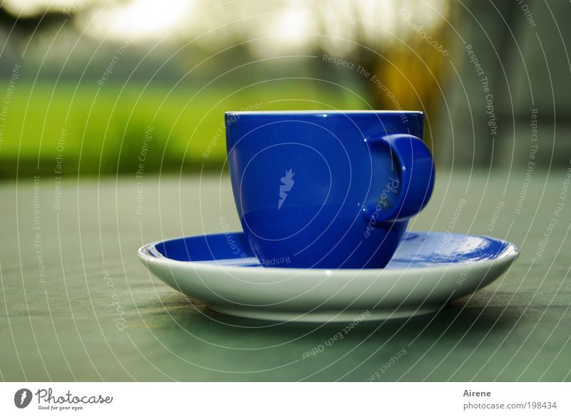 die blaue Tasse Kaffeetrinken Espresso Erholung ruhig genießen Kaffeetasse Kaffeepause Geschirr Terrasse einfach grün Zufriedenheit ästhetisch Genuss