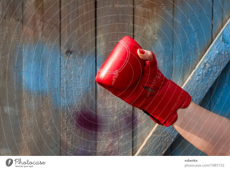 Roter lederner Boxhandschuh auf der Hand einer Frau Körper Sport Erfolg feminin Erwachsene Finger 1 Mensch 18-30 Jahre Jugendliche Mode Leder Handschuhe Holz