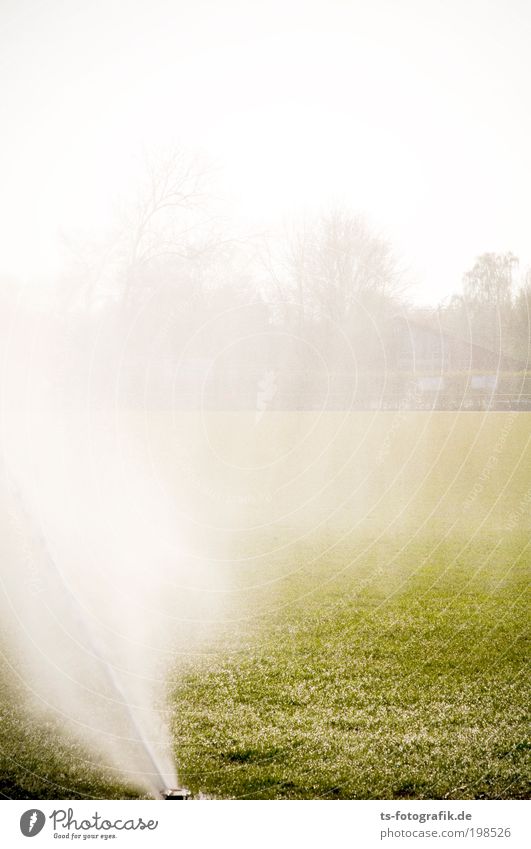 Rasenballett II Tribüne Sportstätten Fußballplatz Wasser Wassertropfen Sonne Frühling Sommer Schönes Wetter Nebel Regen Wärme Dürre Gras Sportrasen Bewässerung