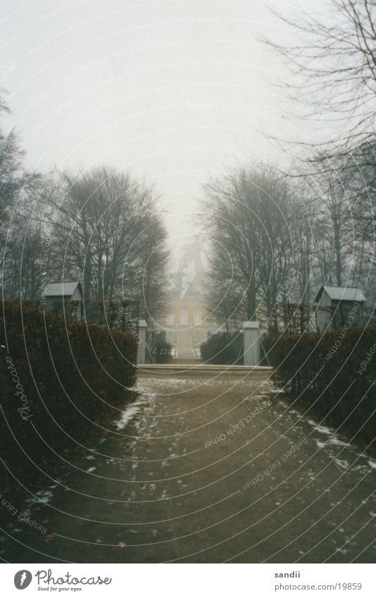 *einsam*kalt* Mühle Nebel Einsamkeit ruhig Baum historisch Garten Wege & Pfade