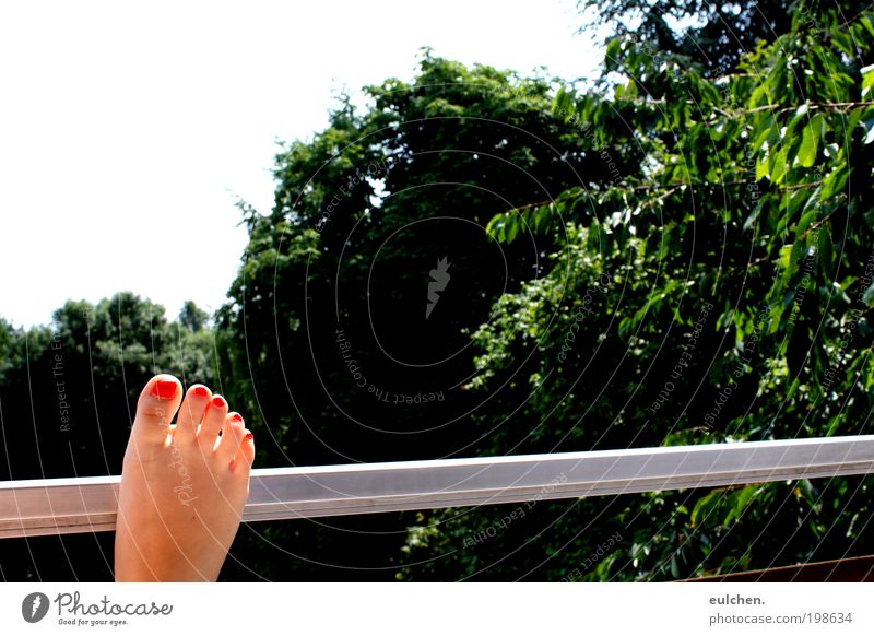 Füße und so. Sommer Fuß Schönes Wetter Farbe Sinnesorgane Zufriedenheit Farbfoto Außenaufnahme Tag Blitzlichtaufnahme