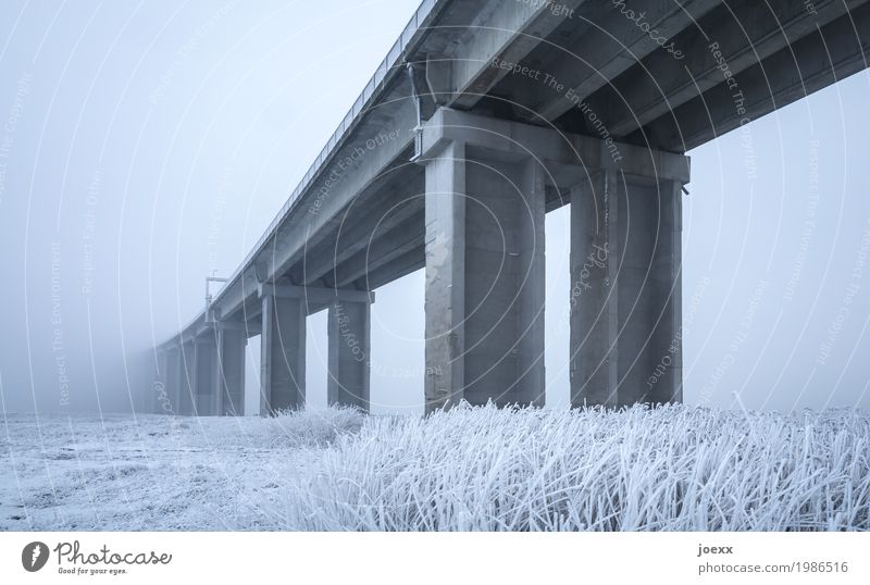 Kältebrücke Winter Wetter schlechtes Wetter Nebel Eis Frost Brücke Beton hoch grau weiß Farbfoto Gedeckte Farben Außenaufnahme Menschenleer Tag