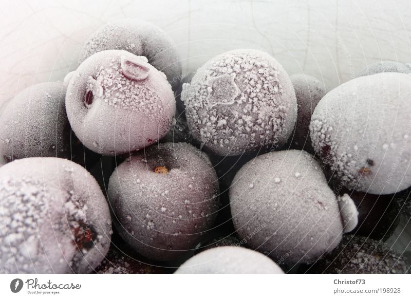 Gefrorene Kirschen Lebensmittel Frucht Bioprodukte Vegetarische Ernährung Wassertropfen Eis Frost gefroren tiefgekühlt frieren Coolness weiß ruhig kalt
