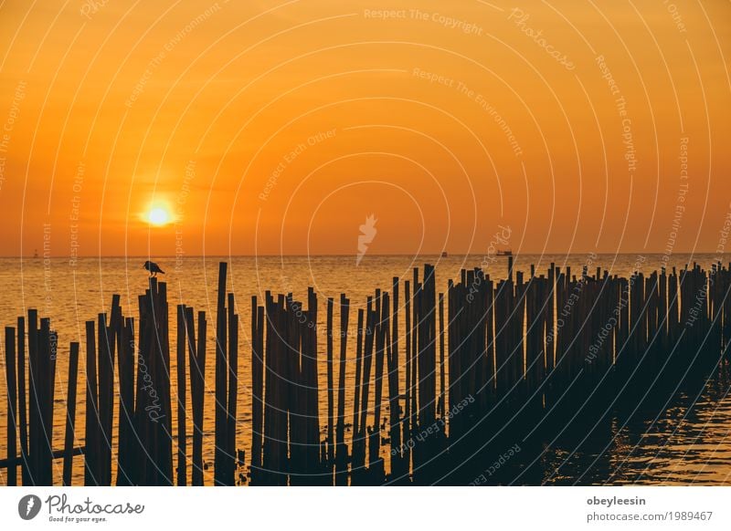 Die Silhouette des Kanus bei Sonnenuntergang Lifestyle Stil Kunst Künstler Natur Landschaft Wellen Strand Bucht Meer Abenteuer Angst Freude Farbfoto mehrfarbig