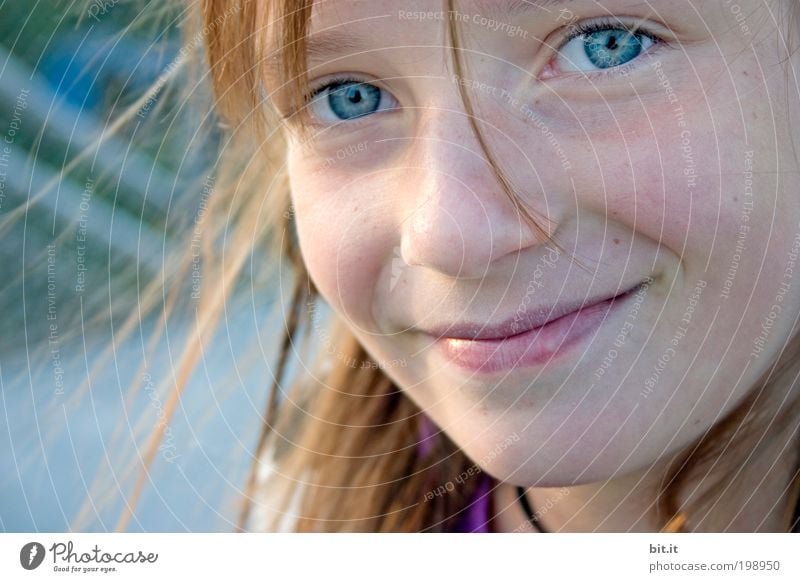 Sommer in Bit.anien Kindererziehung Schulkind Mädchen Kindheit Kopf Gesicht 1 Mensch 8-13 Jahre Schönes Wetter brünett rothaarig langhaarig Freude Glück