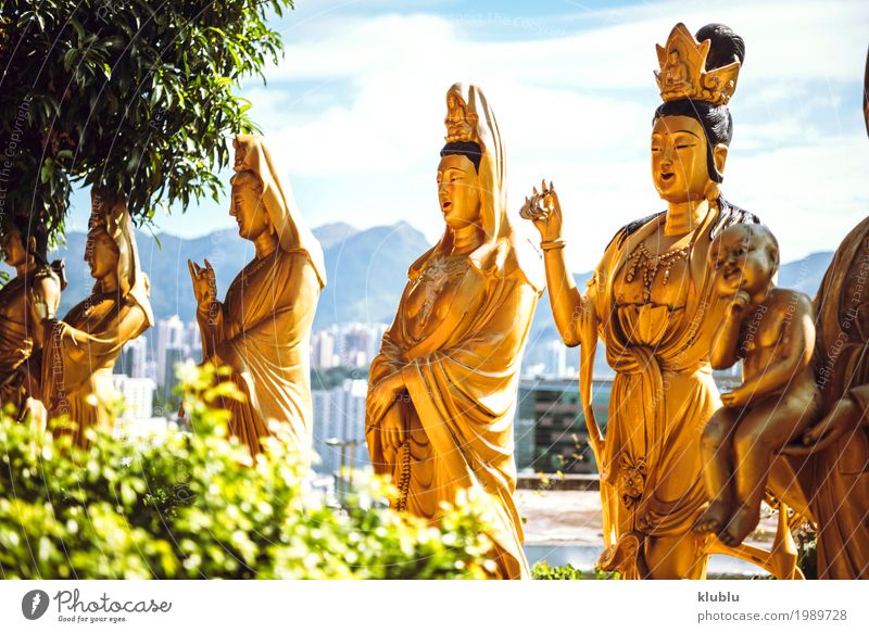 Tempel in Hong Kong schön Gesicht Ferien & Urlaub & Reisen Tourismus Dekoration & Verzierung Kunst Kultur Architektur Denkmal Straße Wege & Pfade